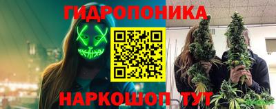 метадон Новодвинск