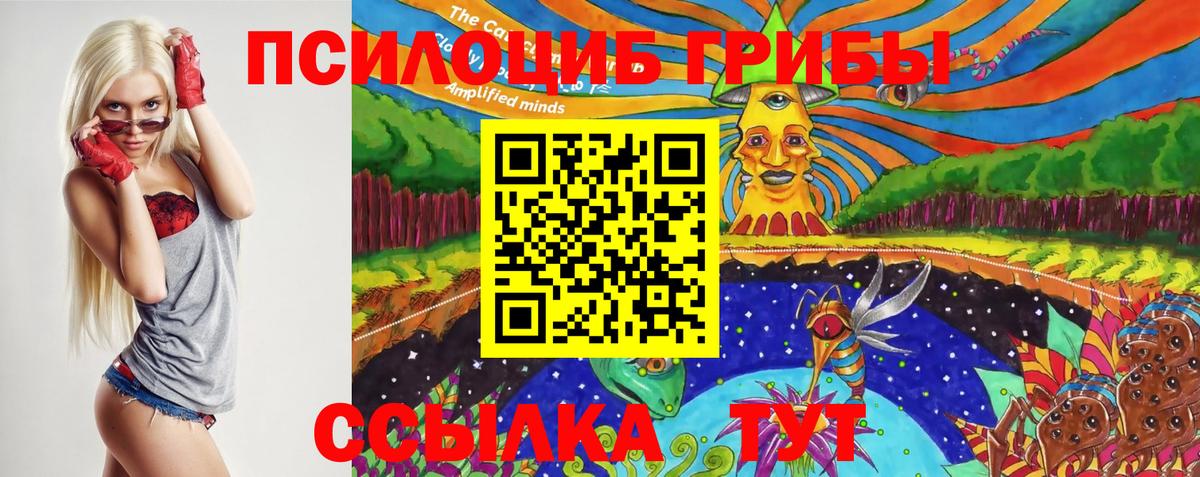 Псилоцибиновые грибы Magic Shrooms  Вход с VPN  Ставрополь 