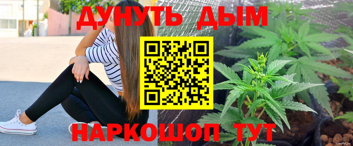 Марихуана сатива  Канабис Amnesia  Вход с VPN  Ставрополь  Бошки марихуана сатива 